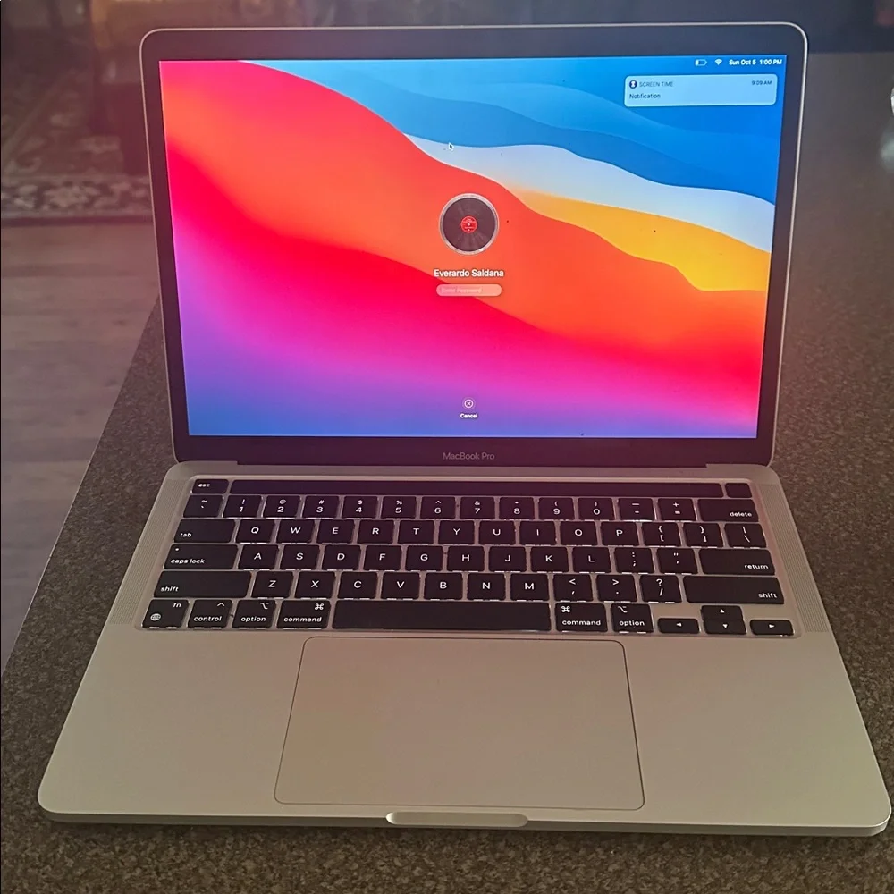 Apple Metallic Silver Laptop